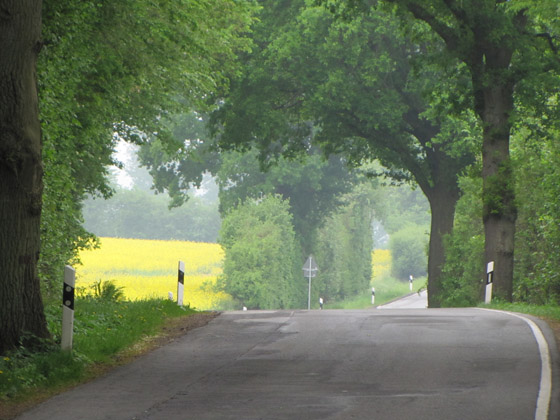 LAndstraße Mölln - Nusse